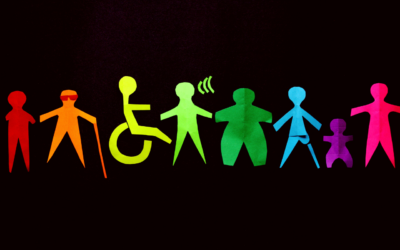 Disability Commissioner Consultation