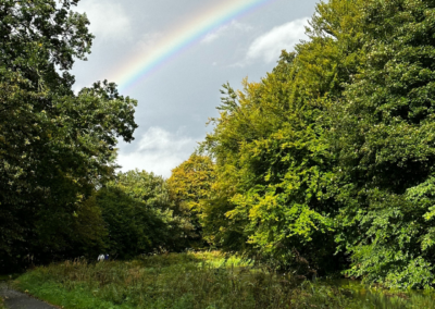 A photo of a rainbow