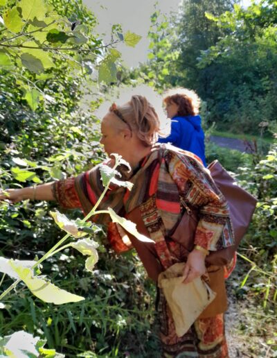 Craigmillar Community Grows: A women reached into a bush to collect vegetables