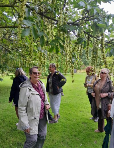 Craigmillar Community Grows: A group of individuals stand under a tree, smiling and laughing.