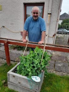 A man (Anthony) wearing a blue t-shirt stands proudly behind a raised planter. The planter has a variety of vegetables.