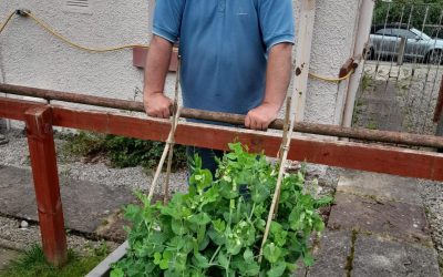 From Seed to Plate: a Person-Centred Support Story