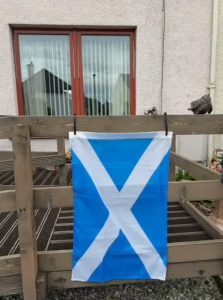 A saltire flag attached to a fence in a garden.